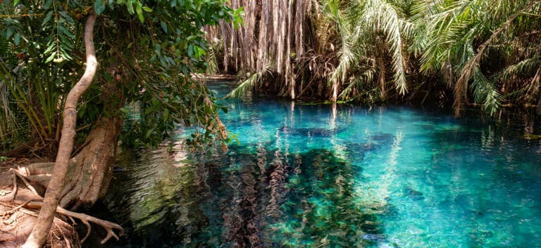 Kikuletwa Hot Springs