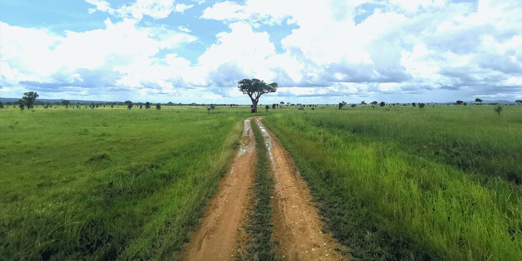 Tanzania Big Five Safari Guide