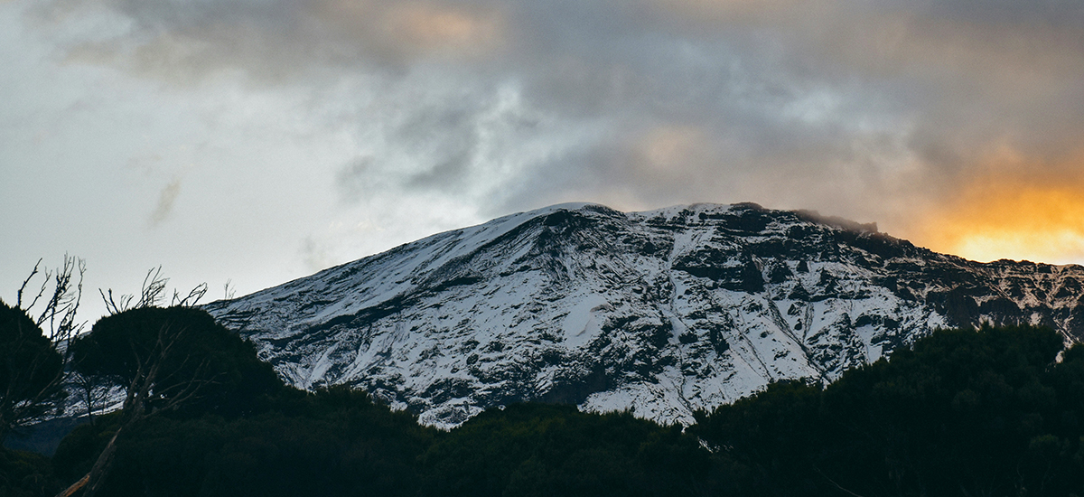 nord 2