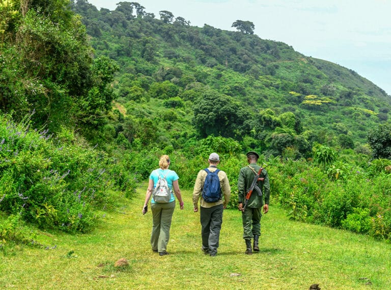 Best National Parks in Tanzania