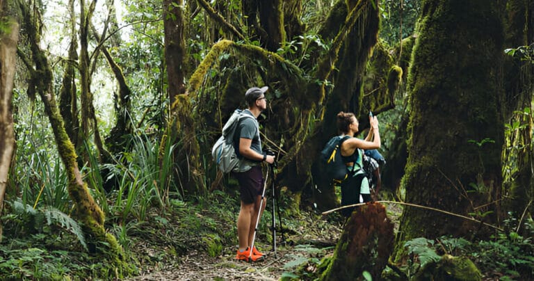 11-ways-to-boost-your-hiking-endurance-for-climbing-kilimanjaro
