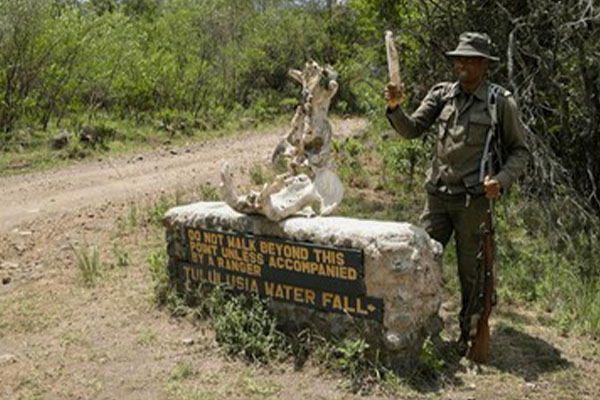 11-ways-to-boost-your-hiking-endurance-for-climbing-kilimanjaro