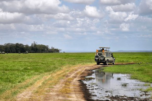 unforgettable tanzania safaris