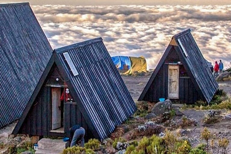 Kilimanjaro Climbing Guide