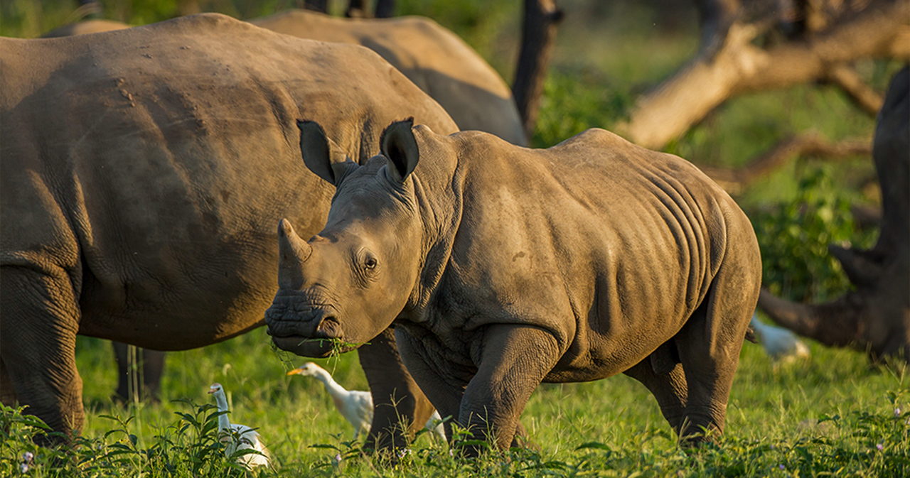 Tanzania day trips