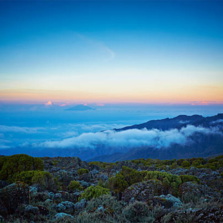 Kilimanjaro Climbing Packages 2025