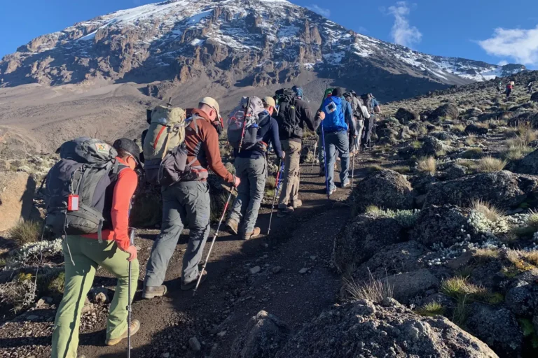 what i wish i knew before climbing Kilimanjaro, Machame Route