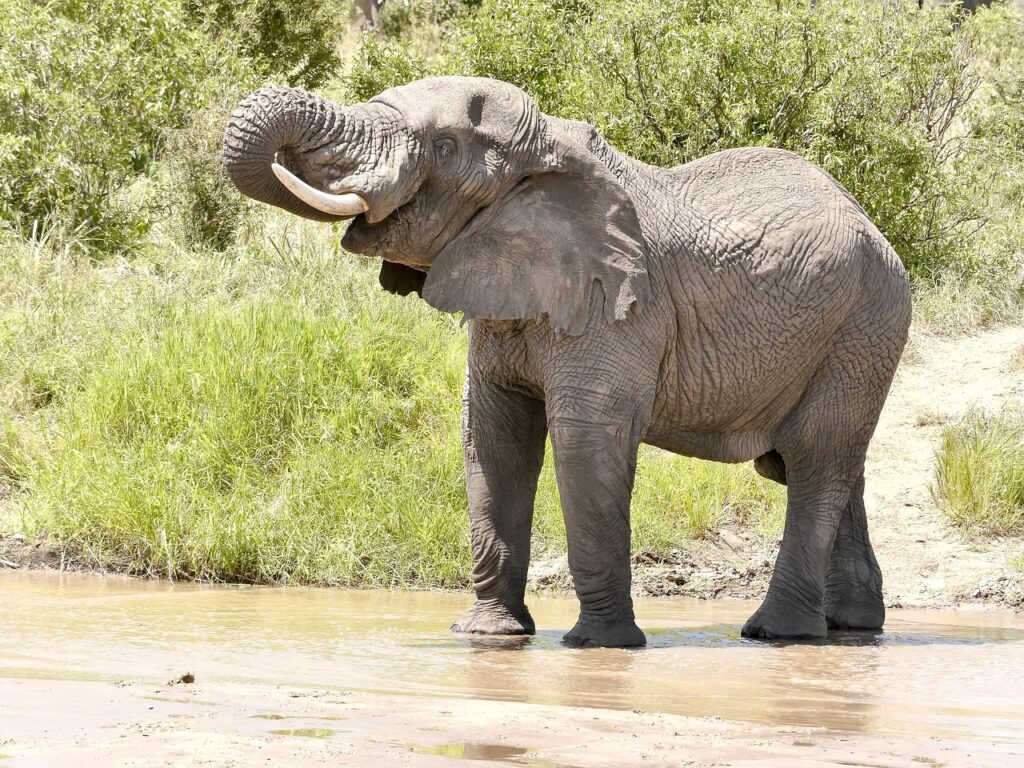 Tanzania travel advice and tips