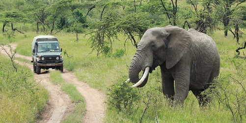 Best National Parks for Safari in Tanzania