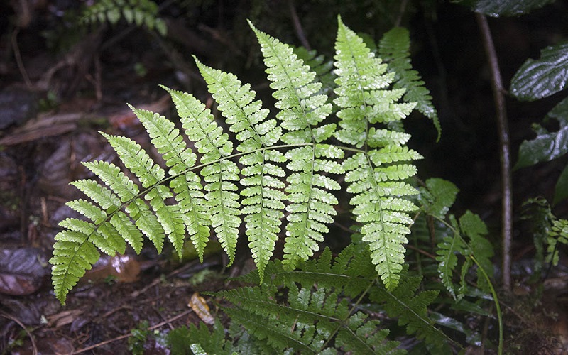 10-tips-for-a-successful-climb-on-mount-kilimanjaro