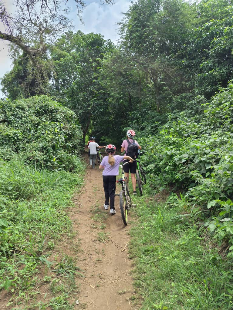 List Luxury Safaris in Tanzania