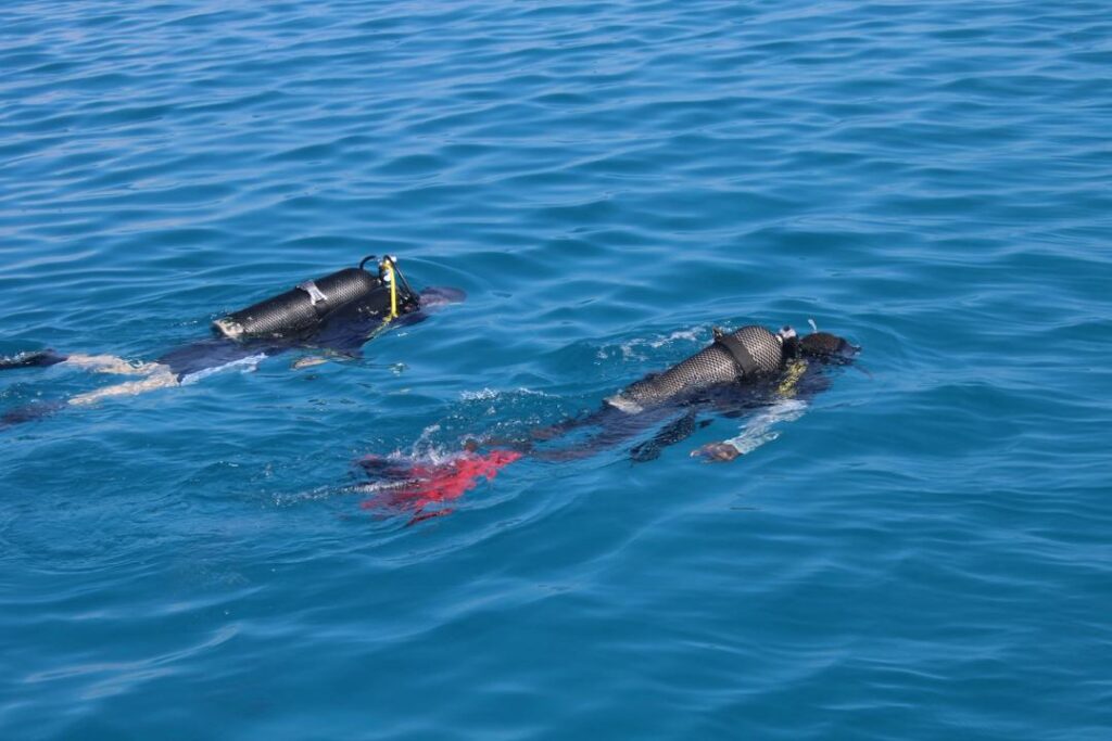 Snorkeling in Mafia Marine Park